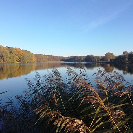 Warthe - Mitten In Der Natur 外观 照片