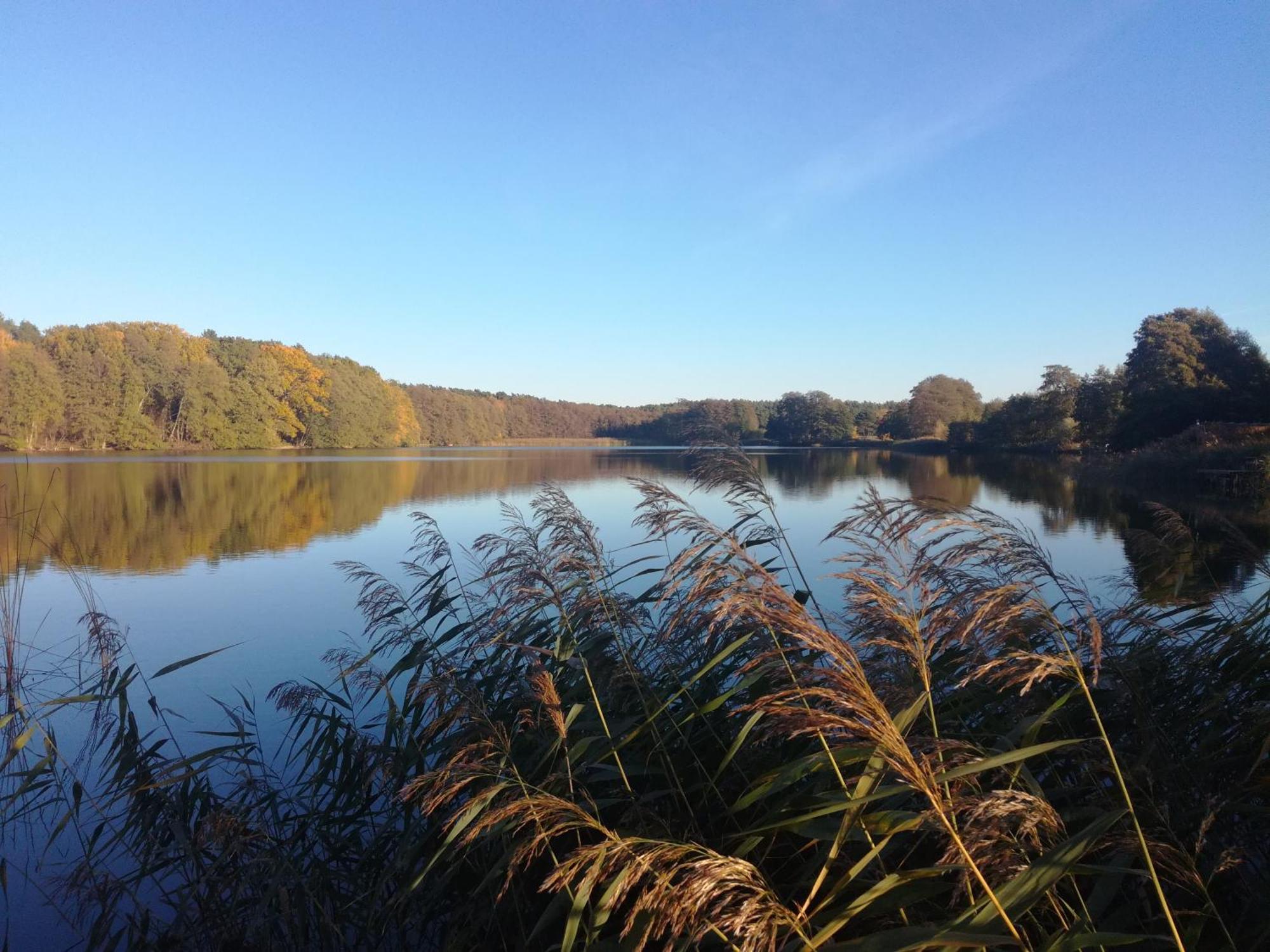 Warthe - Mitten In Der Natur 外观 照片
